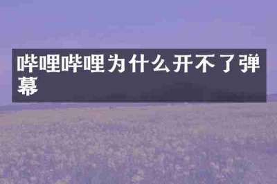 哔哩哔哩为什么开不了弹幕