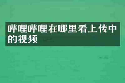 哔哩哔哩在哪里看上传中的视频