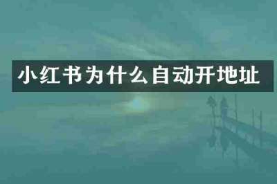 小红书为什么自动开地址