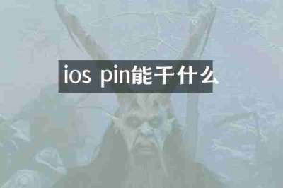 ios pin能干什么