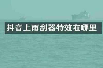 抖音上雨刮器特效在哪里