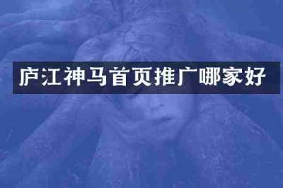 庐江神马首页推广哪家好