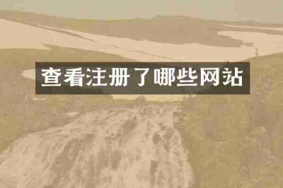 查看注册了哪些网站