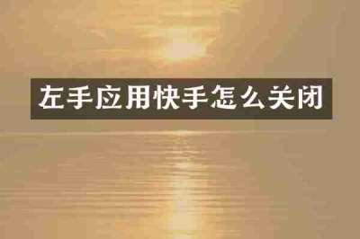 左手应用快手怎么关闭