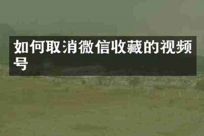 如何取消微信收藏的视频号