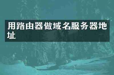 用路由器做域名服务器地址