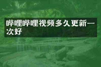 哔哩哔哩视频多久更新一次好