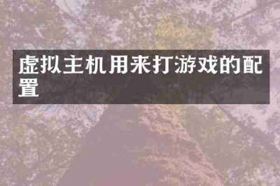 虚拟主机用来打游戏的配置