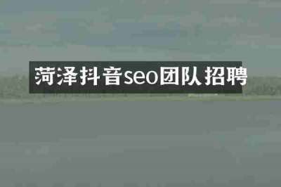 菏泽抖音seo团队招聘