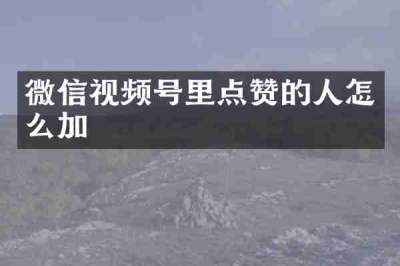 微信视频号里点赞的人怎么加