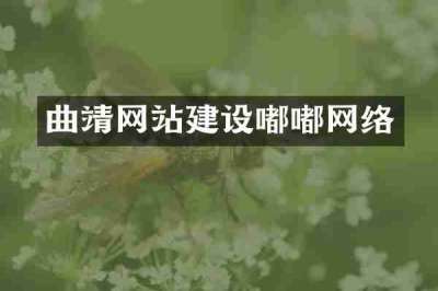 曲靖网站建设嘟嘟网络