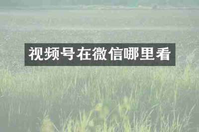 视频号在微信哪里看