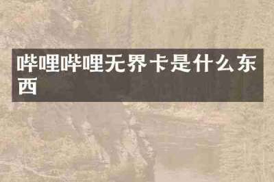 哔哩哔哩无界卡是什么东西