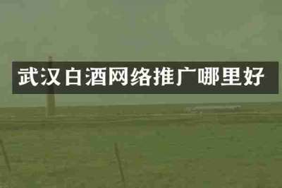 武汉白酒网络推广哪里好