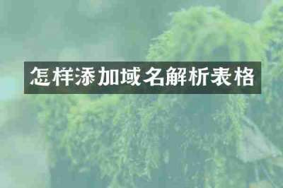 怎样添加域名解析表格
