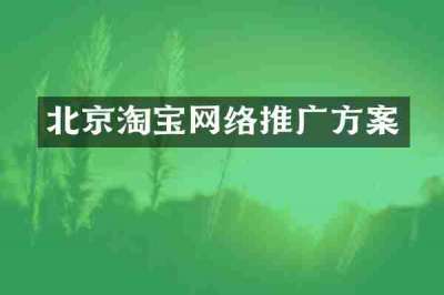 北京淘宝网络推广方案