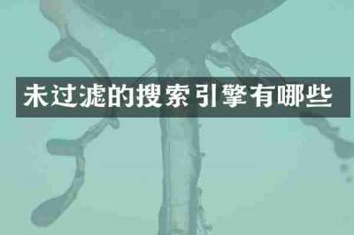 未过滤的搜索引擎有哪些
