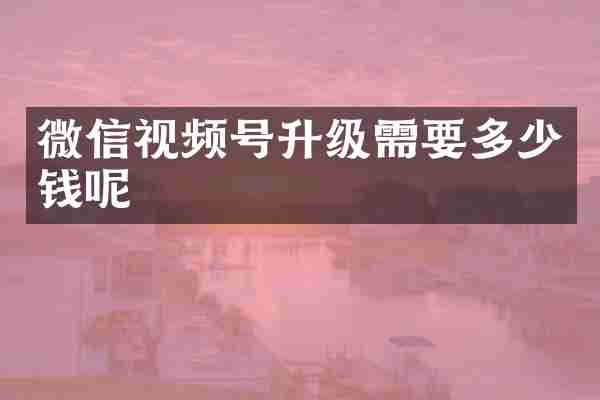 微信视频号升级需要多少钱呢