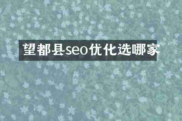 望都县seo优化选哪家
