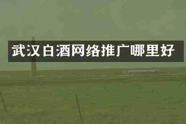 武汉白酒网络推广哪里好