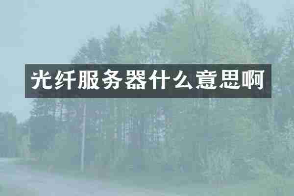 光纤服务器什么意思啊