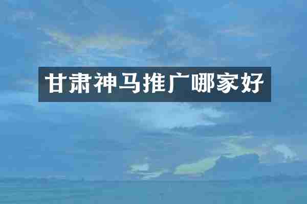 甘肃神马推广哪家好