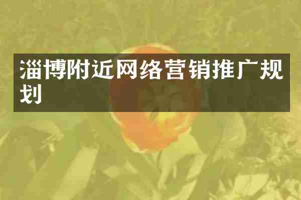 淄博附近网络营销推广规划
