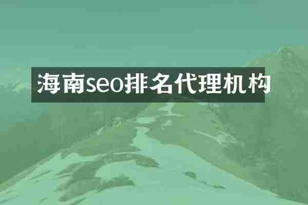 海南seo排名代理机构