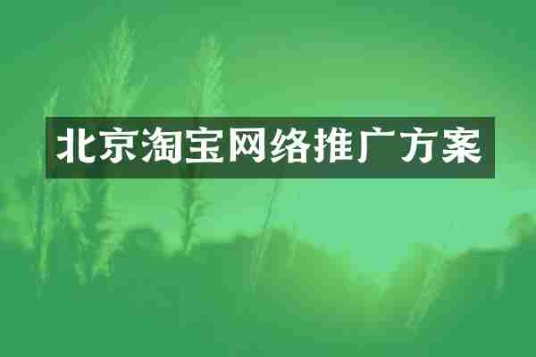 北京淘宝网络推广方案