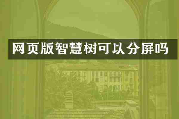 网页版智慧树可以分屏吗