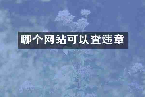 哪个网站可以查违章
