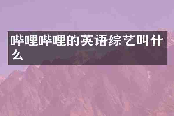 哔哩哔哩的英语综艺叫什么