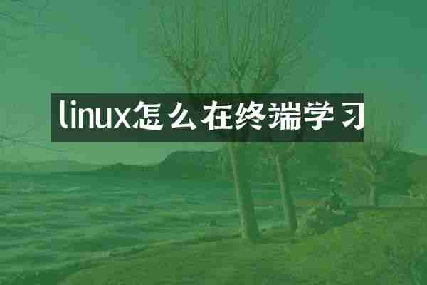 linux怎么在终端学习