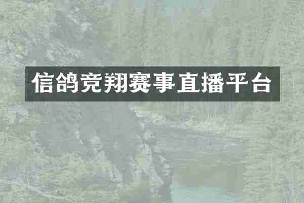 信鸽竞翔赛事直播平台