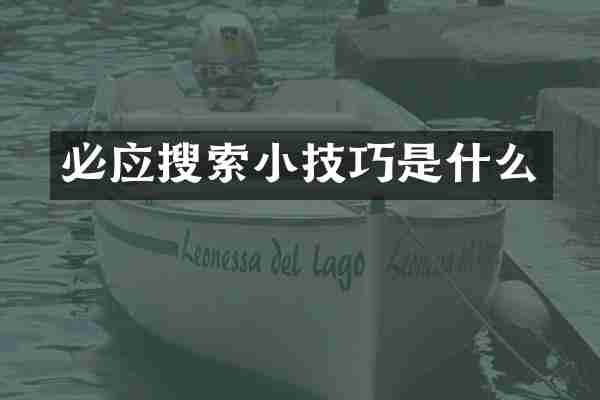 必应搜索小技巧是什么