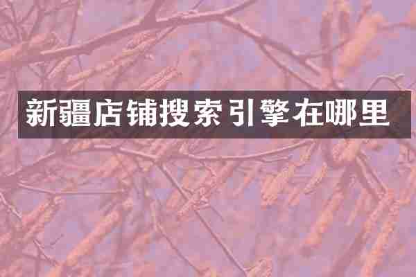 新疆店铺搜索引擎在哪里