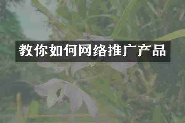 教你如何网络推广产品