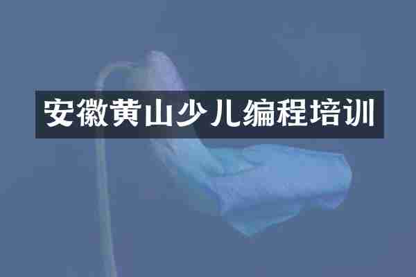 安徽黄山少儿编程培训