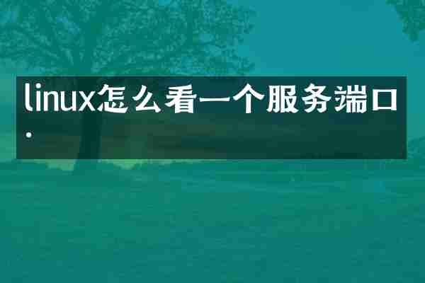 linux怎么看一个服务端口号