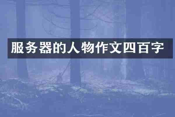 服务器的人物作文四百字