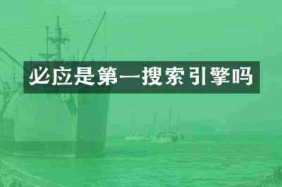 必应是第一搜索引擎吗