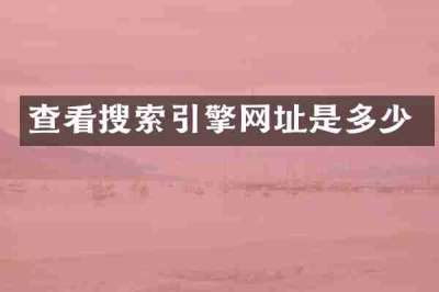 查看搜索引擎网址是多少