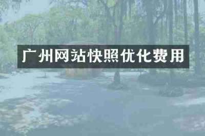 广州网站快照优化费用