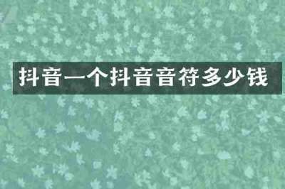 抖音一个抖音音符多少钱
