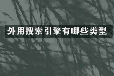 外用搜索引擎有哪些类型
