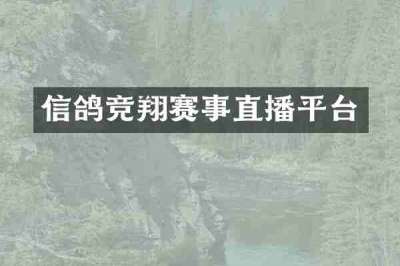 信鸽竞翔赛事直播平台