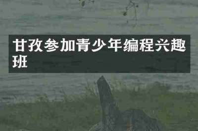甘孜参加青少年编程兴趣班