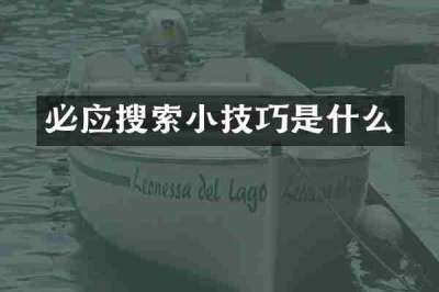 必应搜索小技巧是什么
