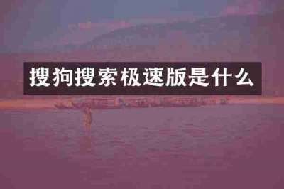 搜狗搜索极速版是什么