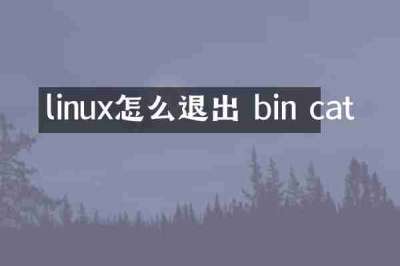 linux怎么退出 bin cat